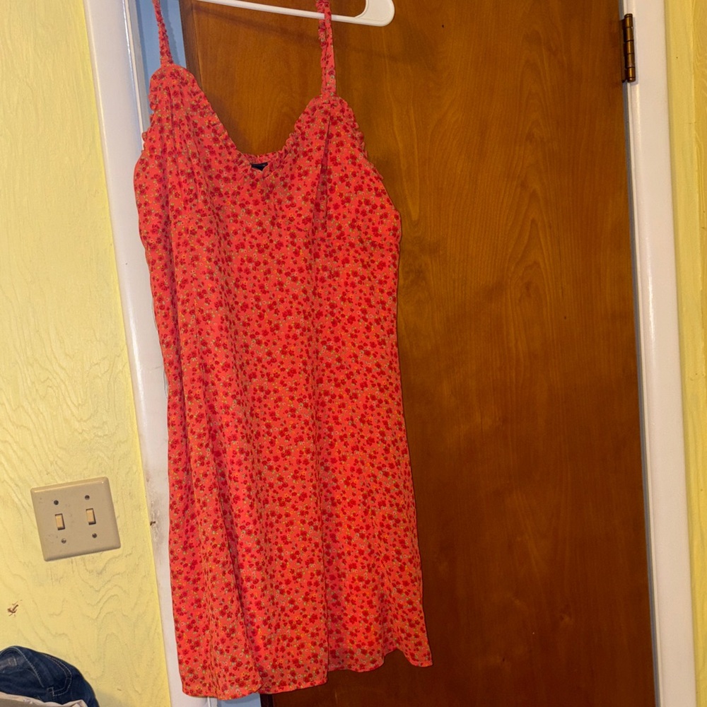Wild Fable Red Floral Mini Dress